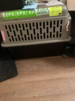 Hard Shell Pet Travel Carrier Crate