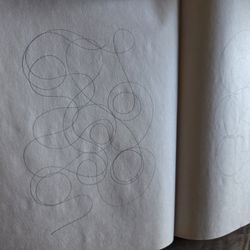 Collexteded Album $100