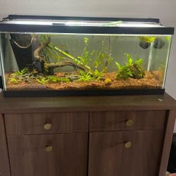 20G Wide Aqueon Planted Tank [Stand not included]