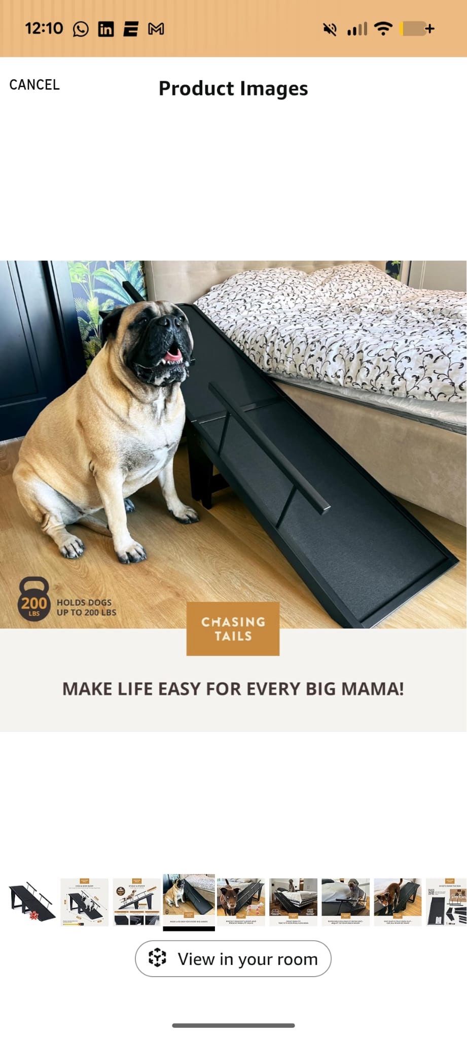 Dog ramp for large dogs