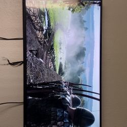 Vizio 43inch Smart Tv