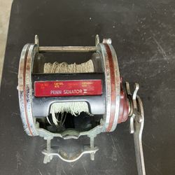 Reel   PENN  SENATOR 114HL