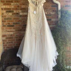 Wedding Dress -Size 16-Ivory-Champagne 