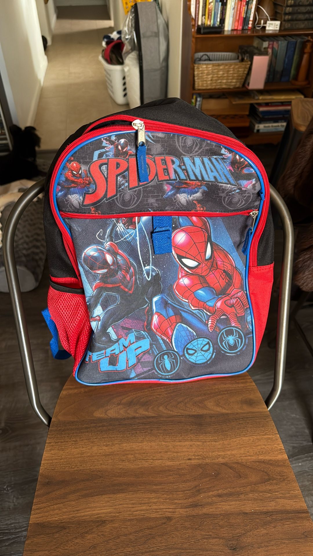 Spider Man Backpack