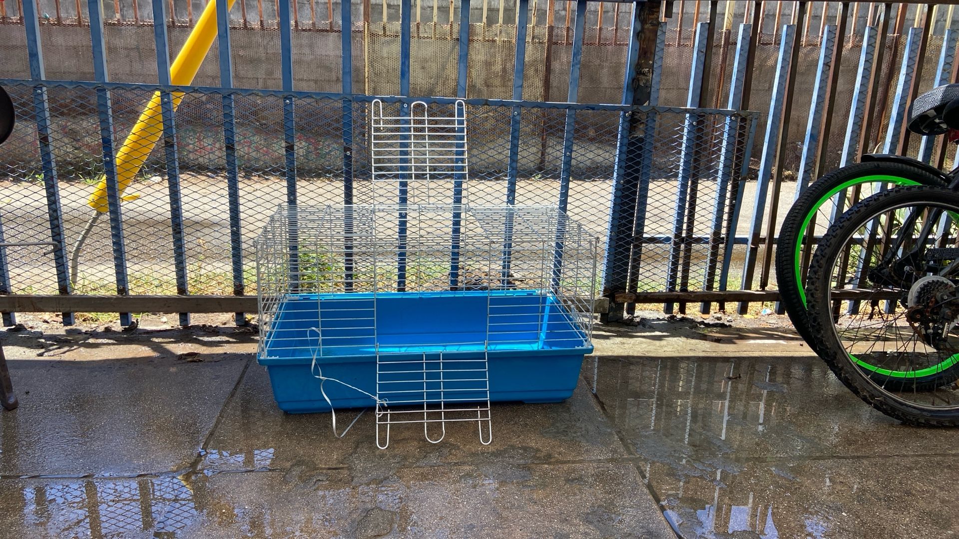 Guinea Pig Cage