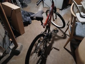 Next Bicycle 24"