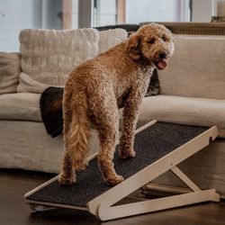Adjustable Dog Ramp - 40” Long And Adjustable From 14” To 24”