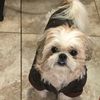 RJ