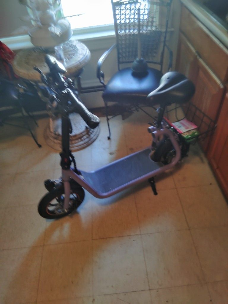 Electric Scooter