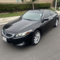 2010 Honda Accord