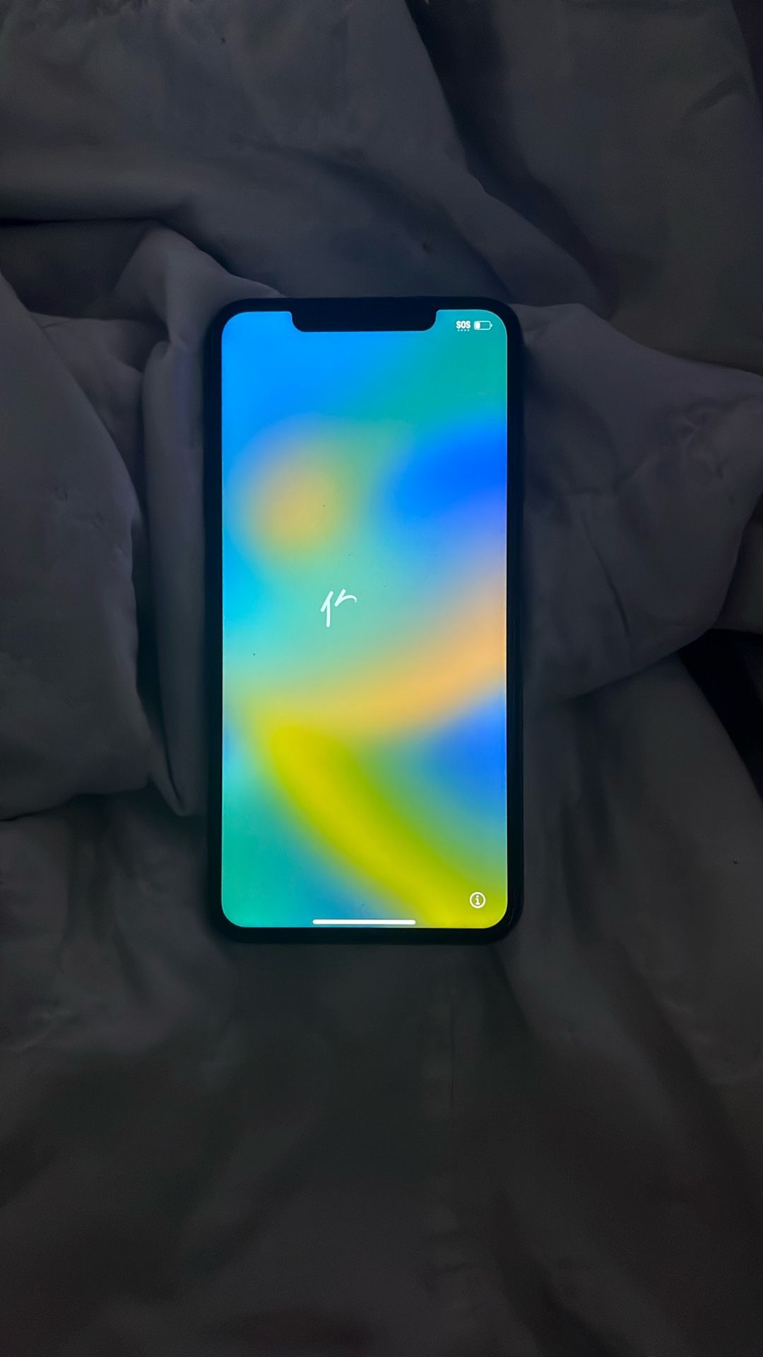 Fully Functional iPhone XS