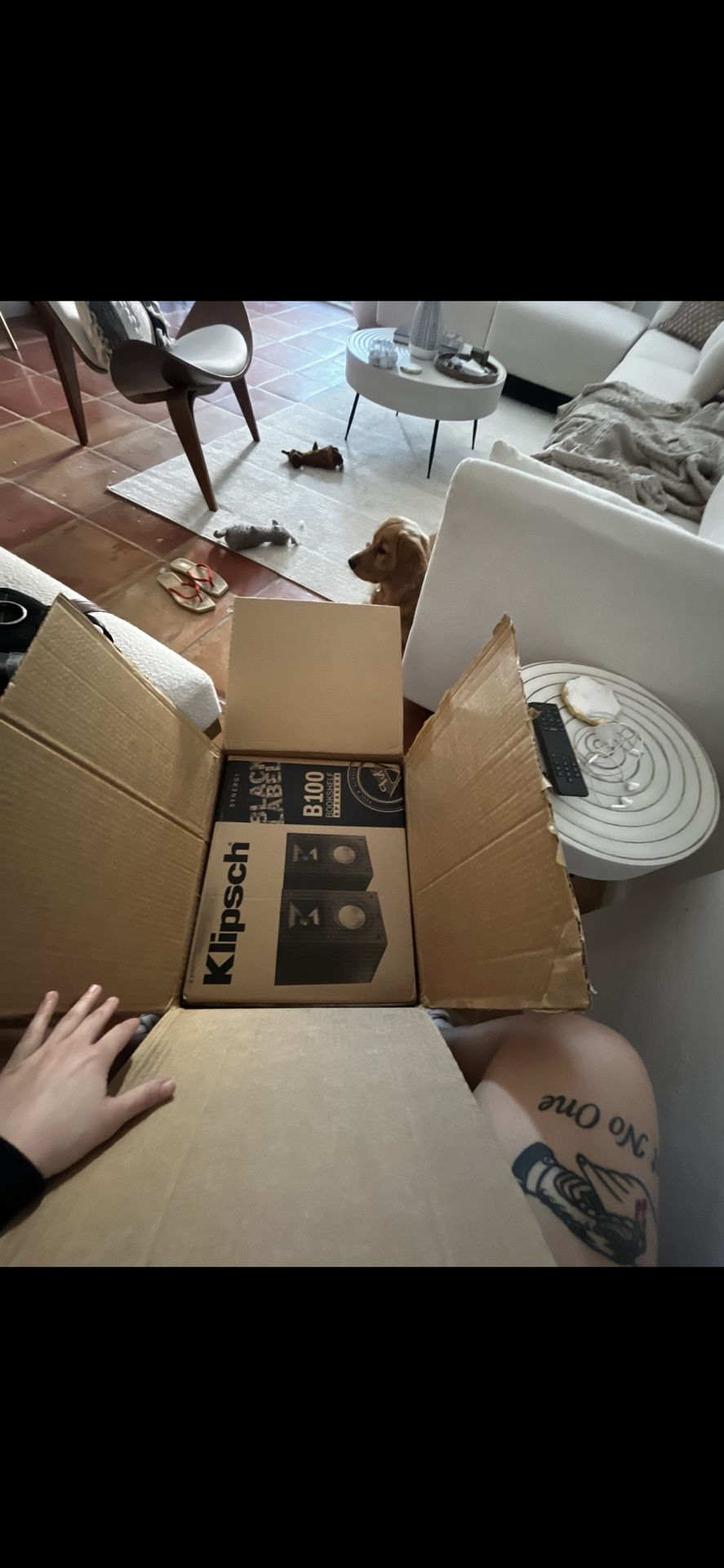 B-100 Klipsch Speakers