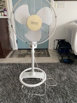 Fan