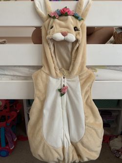 24 Month Bunny Costume
