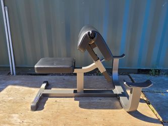 Parabody commercial preacher curl bench