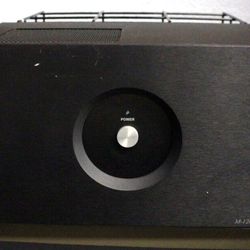 Rogue Audio Magnum M-120 monoblock power amplifier Home audio