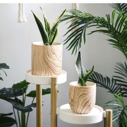New in box Ceramic Planter Flowerpots - 6 + 4.8 inch Modern Decorative Plant Pot Containers for Aloe Plants Flower Home Decor Indoor(Natural Wood Text