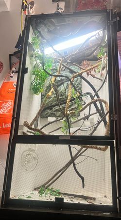 Complete chameleon cage set up