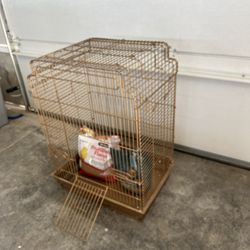 Bird Cage
