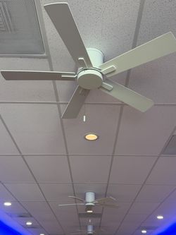 Ceiling Fan