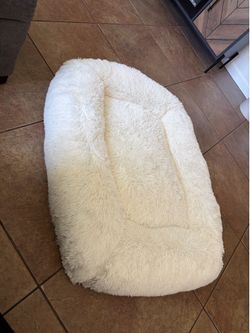 Bran new Large dog bed 39x31