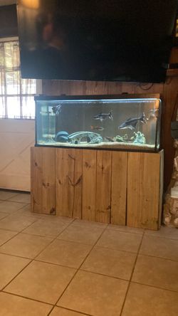 75 gallon fish tank
