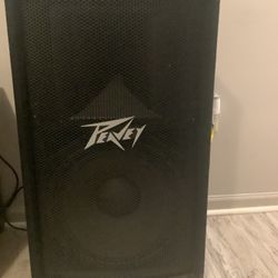 Peavey PV 115 2-Way Speaker