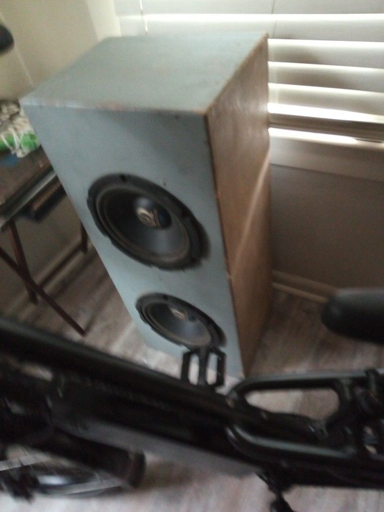 Speakers Pioneer Impp