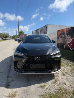 2023 Lexus NX 250