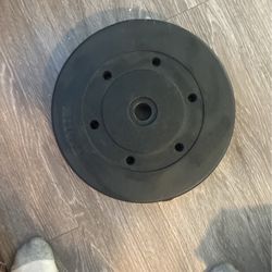 25lb Weight Plate