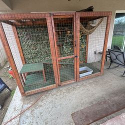 Reptile Enclosure