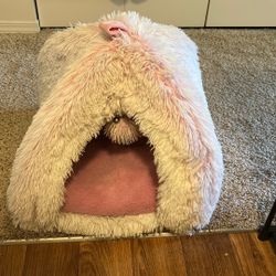 Free Well Used Pink Cat Bed