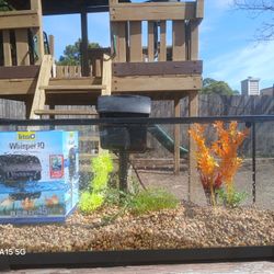 20 gal. Fish Tank & Accessories