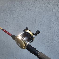 Baitcaster Rod & Reel