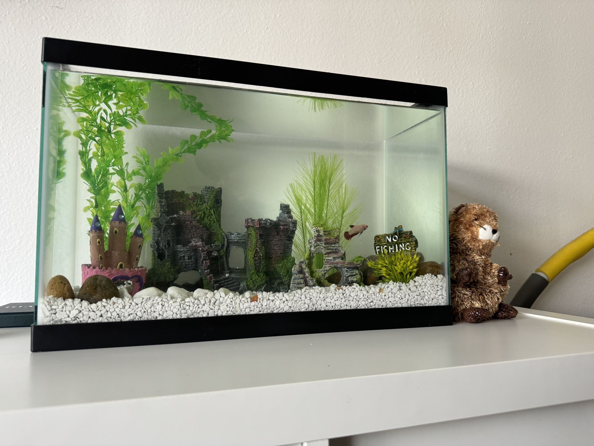 5.5 Gallon Fish Tank with Accessories and Everything in pics
