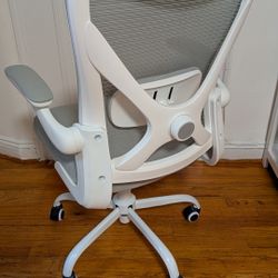 Ergonomic Office Desk Chair