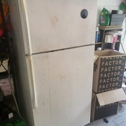 Garage Refrigerator 