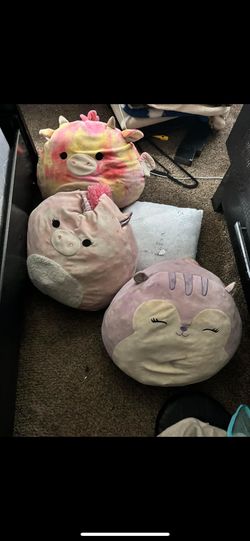 Squishmallows 