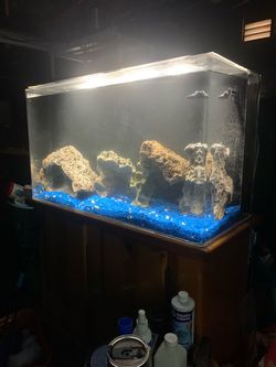 40 Gallon Fish Tank Aquarium