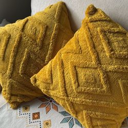 2 Pillow Case With Fillings 