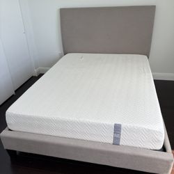Queen Bed Frame And Matters 