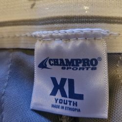 Baseball Pants (Youth)-Champro