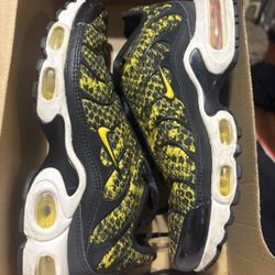 50$ Obo