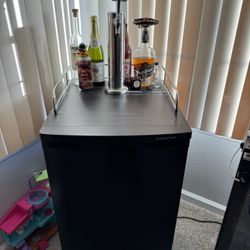 Full size kegerator