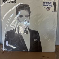 Cardboard Stand Up  Picture 