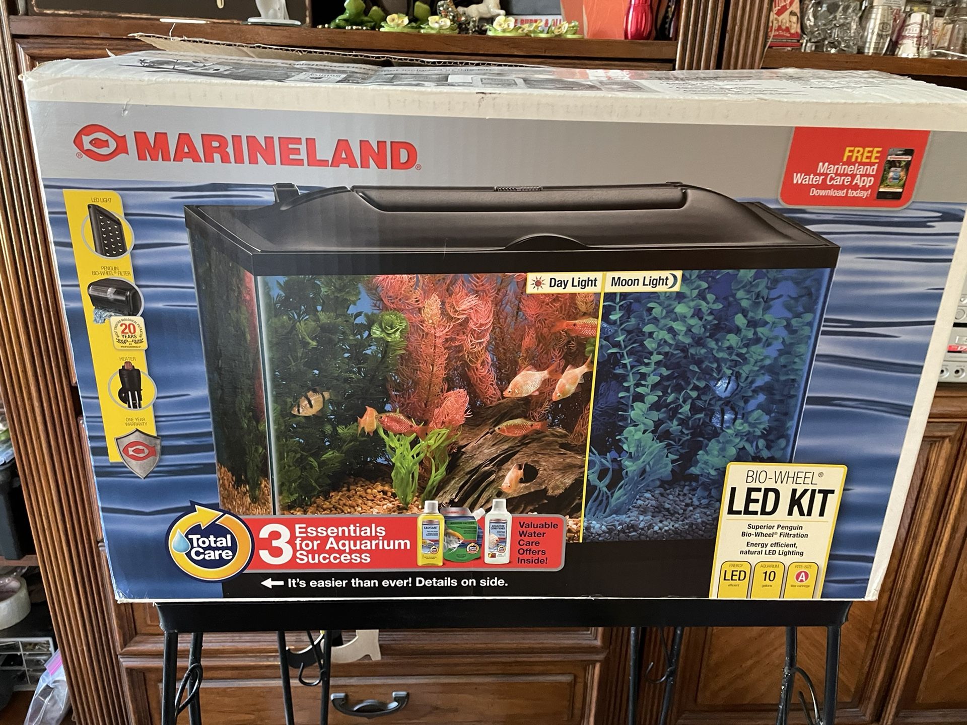 10 Gallon Fish Tank Set Up