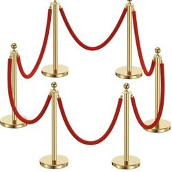 Stanchions and Velvet Ropes 6Pcs, 