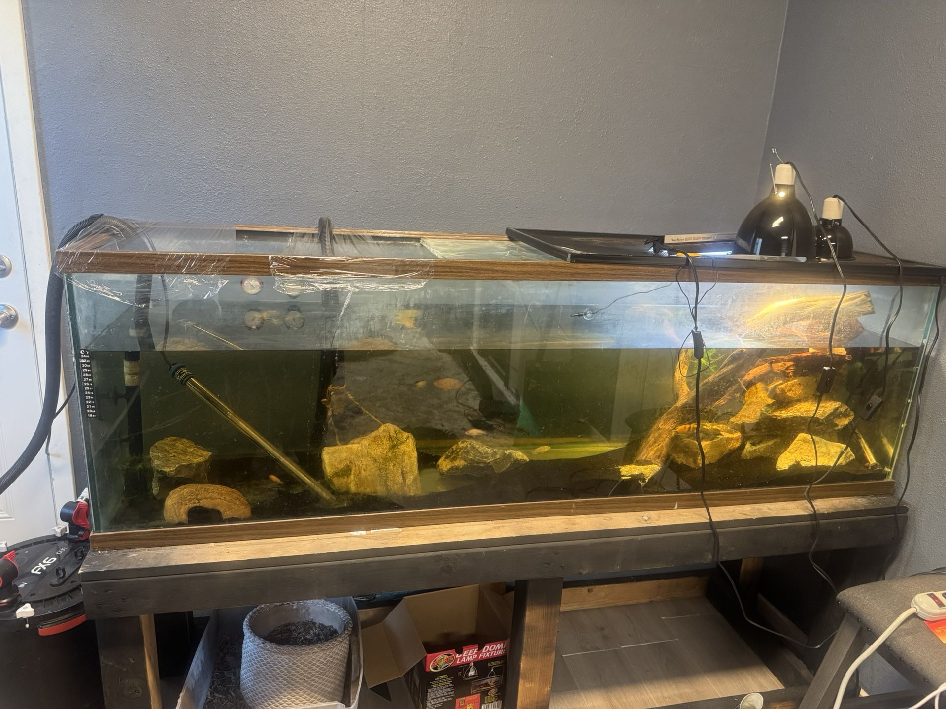 150 Gallon Fish Tank 