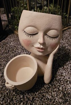 6.5 Inch Pot For Smaller Plants