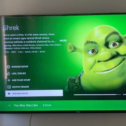 60 Inch Philips Tv